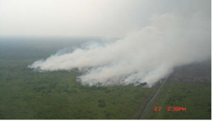 Asap membumbung tinggi akibat hutan terbakar
