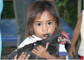 Larang anak memegang ayam karena rentan tertular virus flu burung